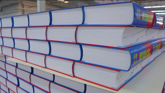 3ph de tensión Sistema de estantería de paletas de doble profundidad para almacenamiento de carga pesada Máquina de apilamiento de pilas de libros de tapa dura